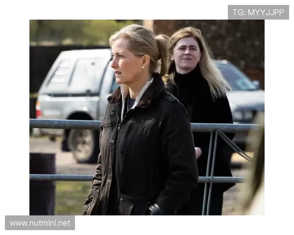 放在娱乐圈，辛德胡肯定是不爱露面的低调女王——买包比我们几个月工资还随手一刷的那种