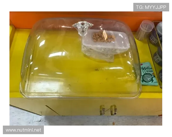 陈艺文窗边那杯咖啡价签一闪，我对自己的生活方式深深道歉